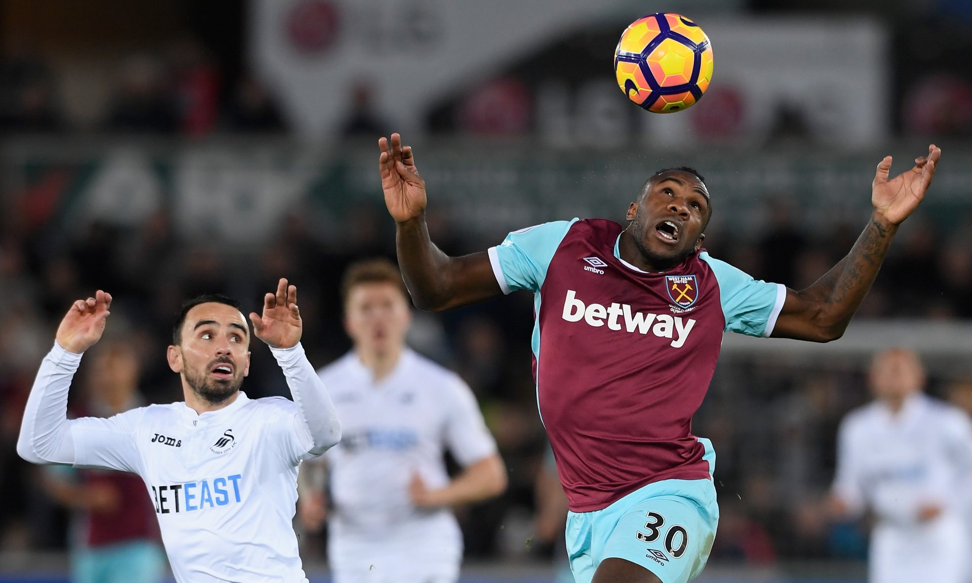 环保和定制 环保和定制